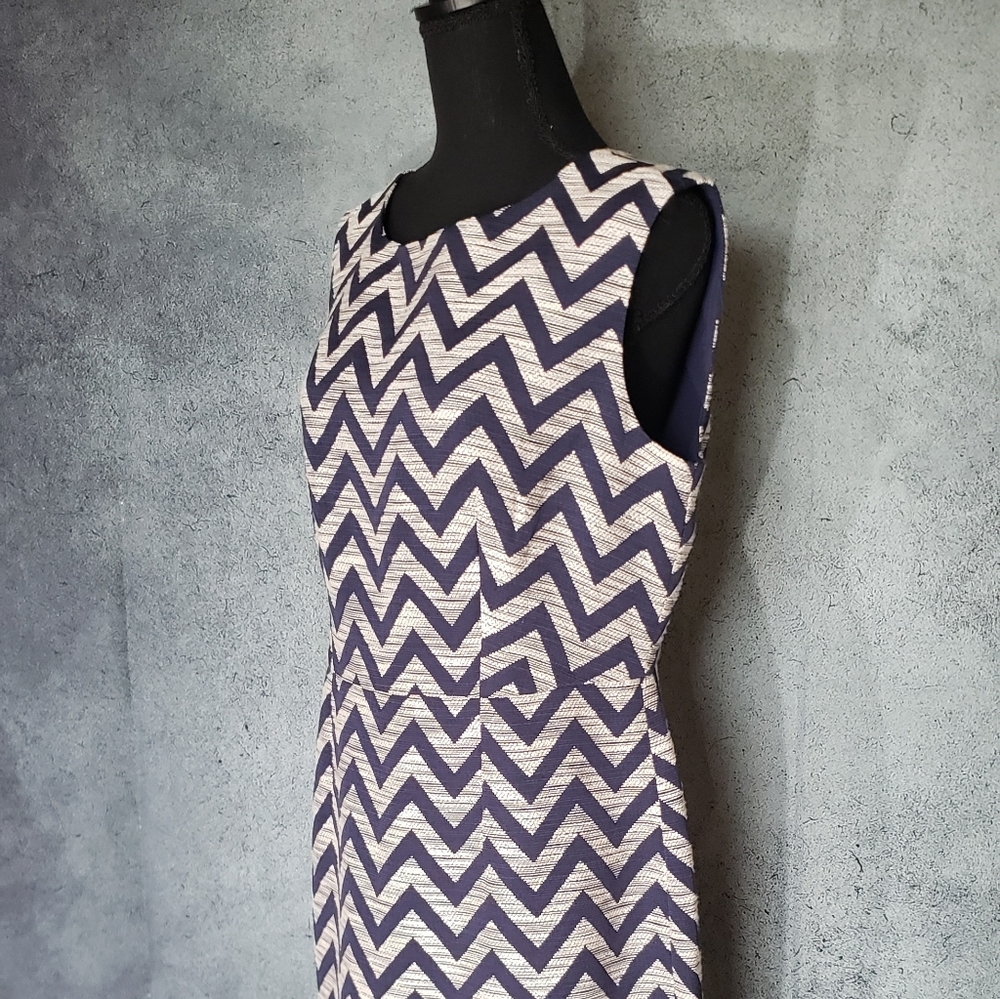 The Limited Sleeveless Knee Length Dress Size 10